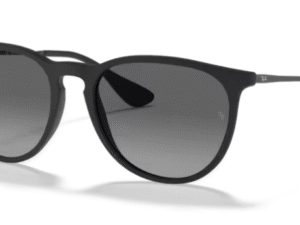 RayBan Erika 4171