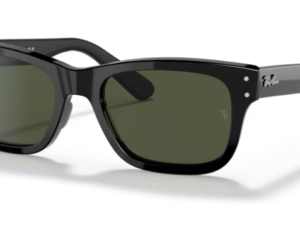 RayBan Mr Burbank 2283