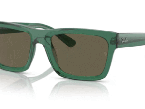 RayBan Warren 4396
